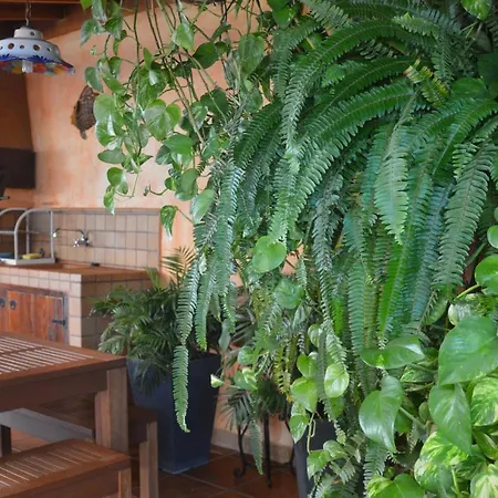 Holiday home Terraza Del Atlantico Playa de Santiago (Isla de la Gomera)